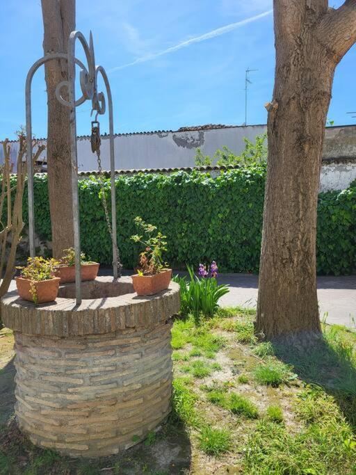 Casa Pascoli Apartman Ravenna Kültér fotó